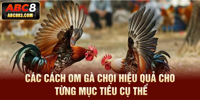 Các cách om gà chọi hiệu quả cho từng mục tiêu cụ thể