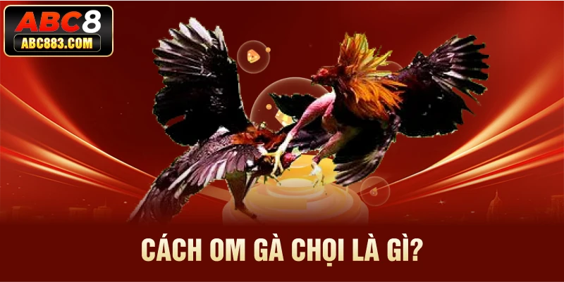 Cách om gà chọi là gì?