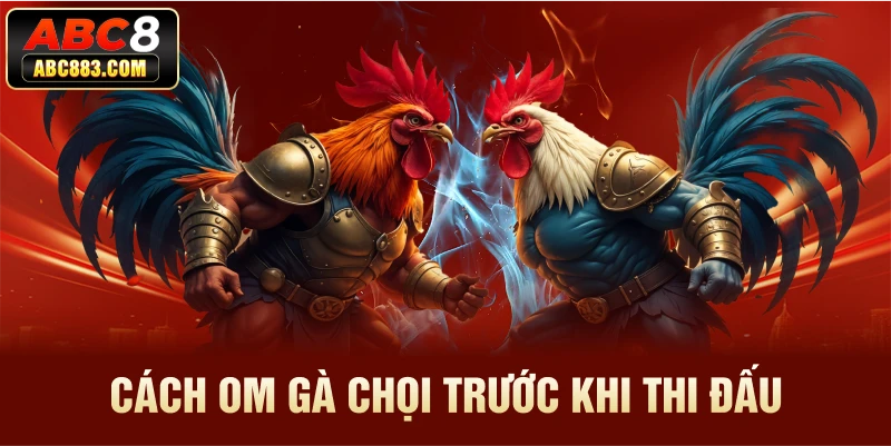 Cách om gà chọi trước khi thi đấu