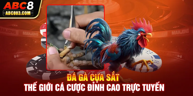 đá gà cựa sắt