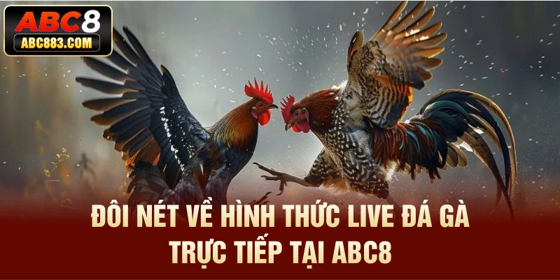 Đôi nét về hình thức Live đá gà trực tiếp tại ABC8