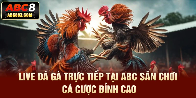 live đá gà trực tiếp tại abc8