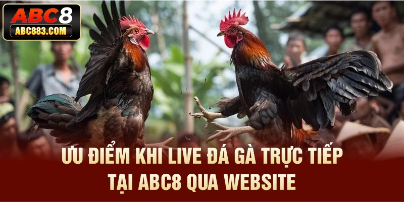 Ưu điểm khi Live đá gà trực tiếp tại ABC8 qua website